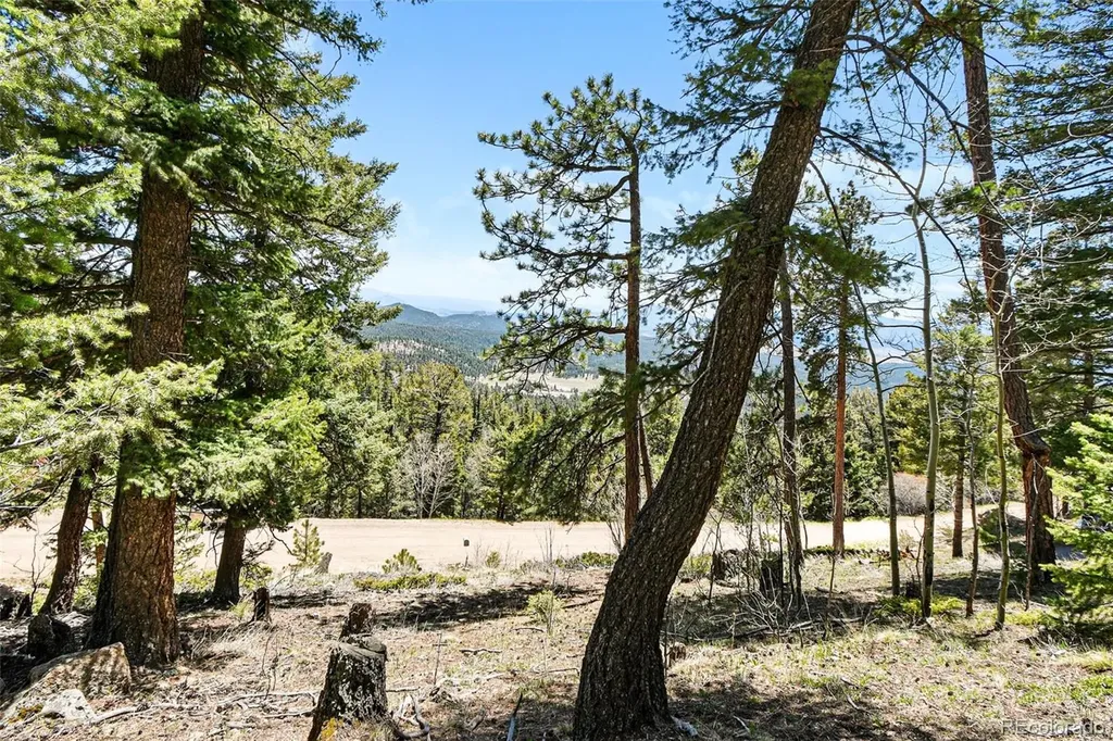 11618 Nichols Way Conifer CO 80433
