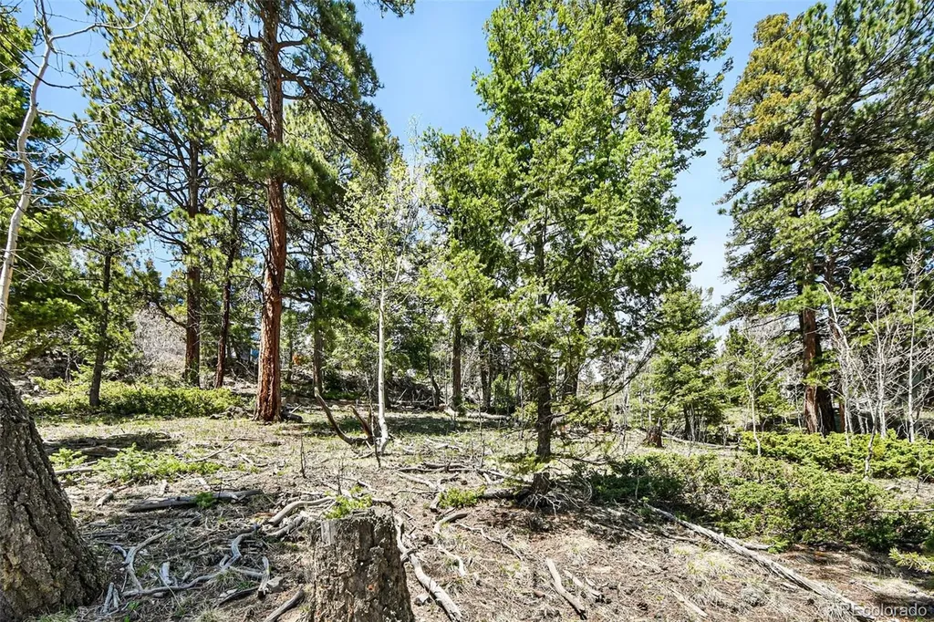 11618 Nichols Way Conifer CO 80433