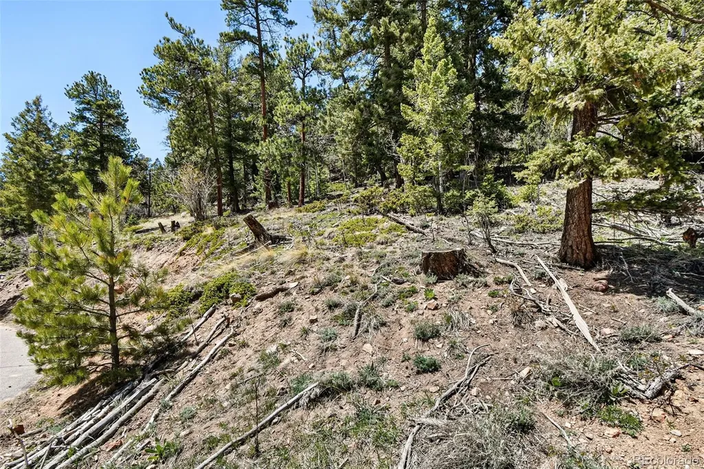 11618 Nichols Way Conifer CO 80433