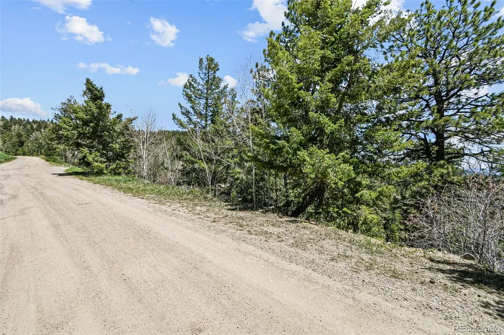 11618 Nichols Way Conifer CO 80433