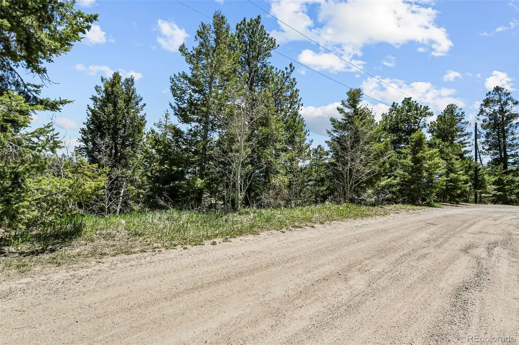 11618 Nichols Way Conifer CO 80433