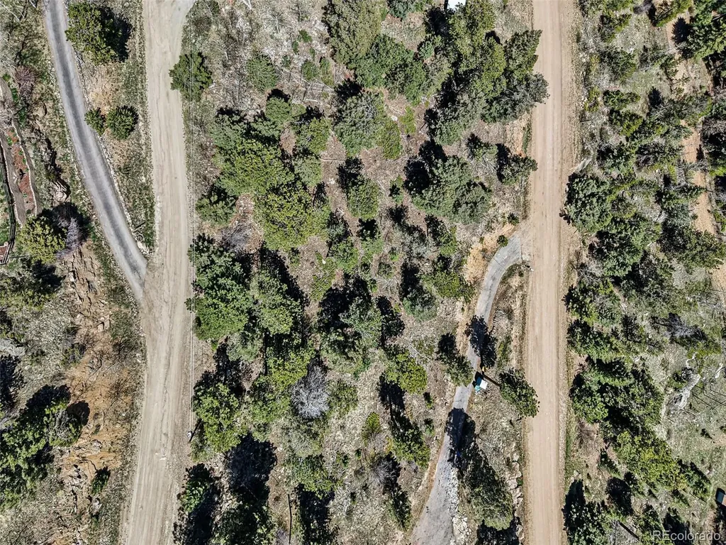 11618 Nichols Way Conifer CO 80433