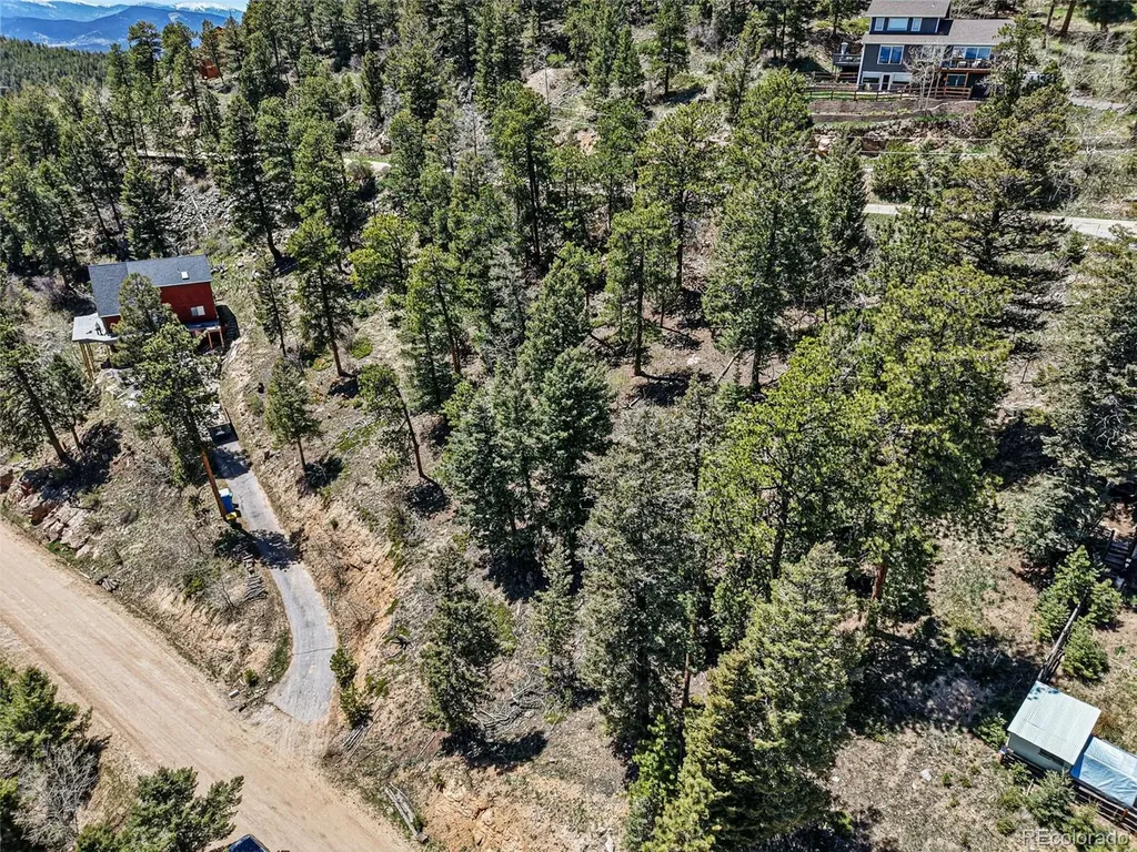 11618 Nichols Way Conifer CO 80433