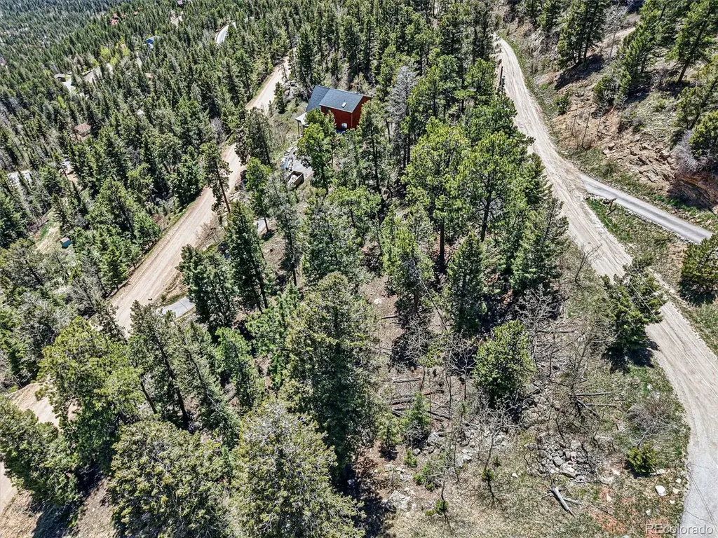 11618 Nichols Way Conifer CO 80433