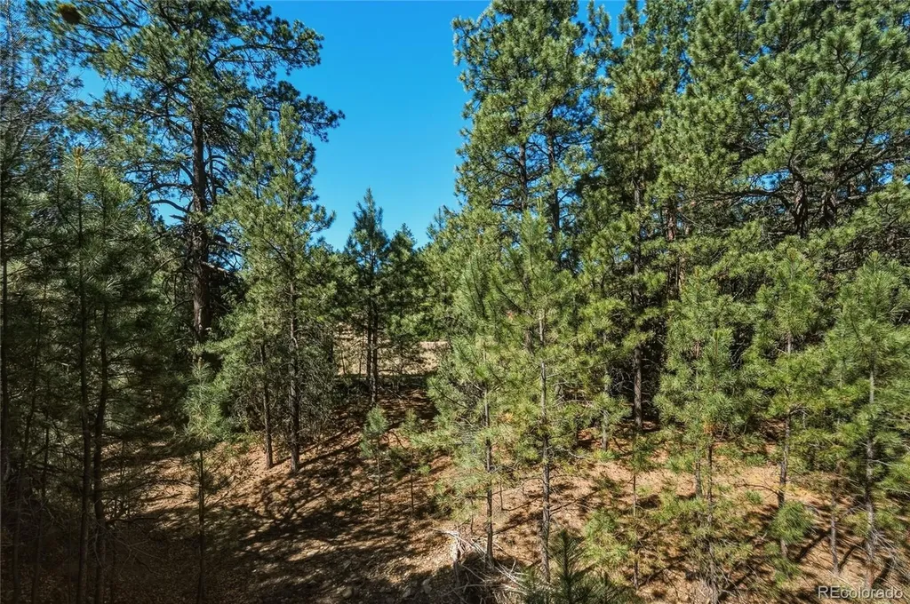 93 Blackhawk Ranch Walsenburg CO 81089