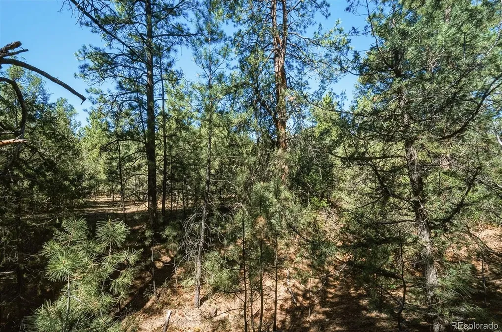 93 Blackhawk Ranch Walsenburg CO 81089