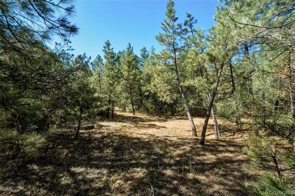 93 Blackhawk Ranch Walsenburg CO 81089
