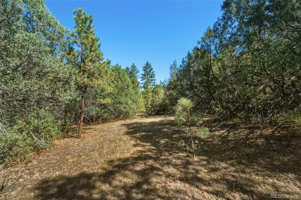 93 Blackhawk Ranch Walsenburg CO 81089