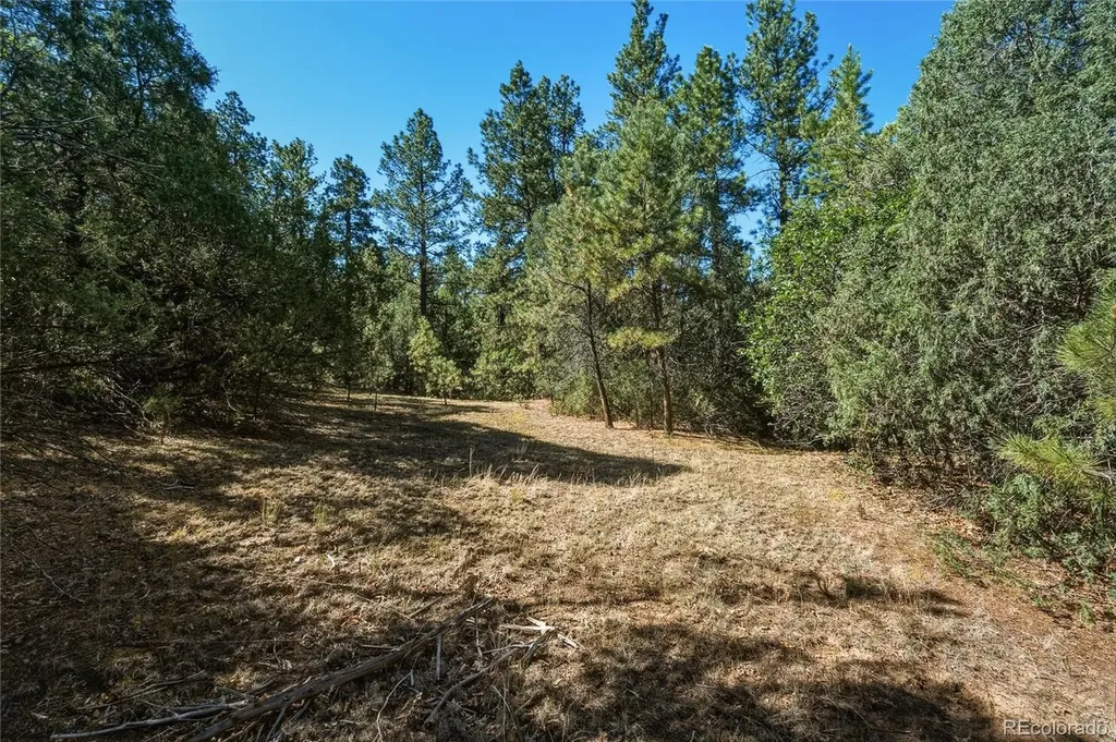 93 Blackhawk Ranch Walsenburg CO 81089