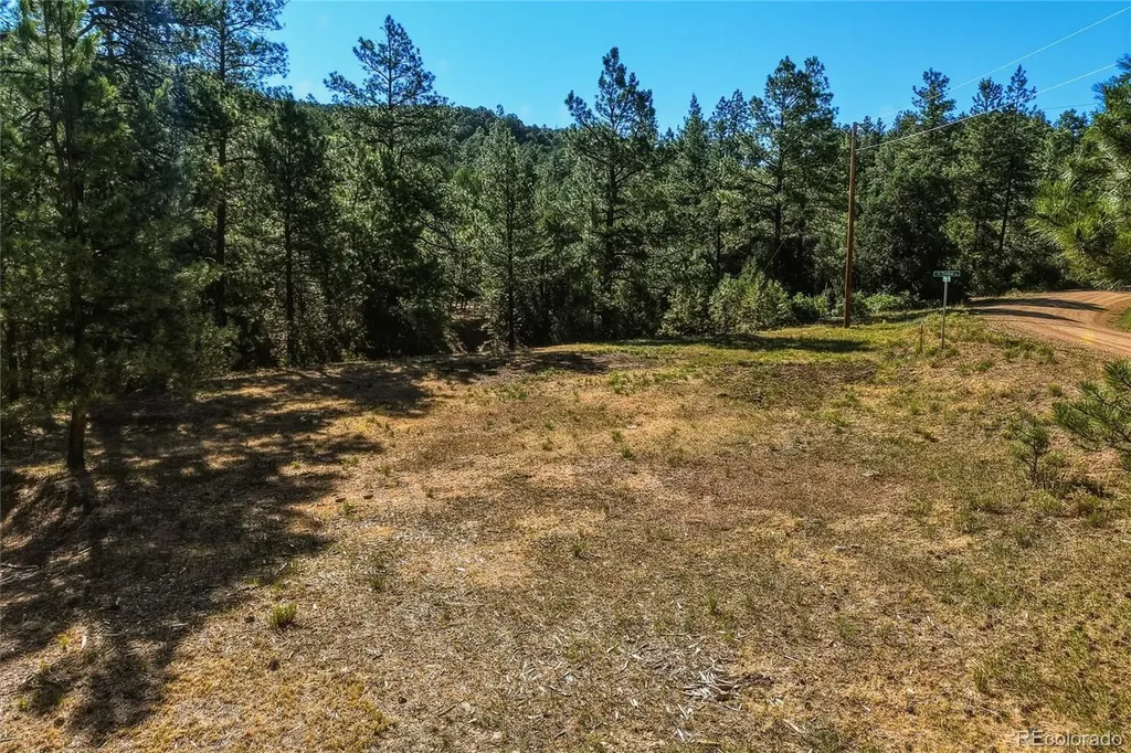 93 Blackhawk Ranch Walsenburg CO 81089