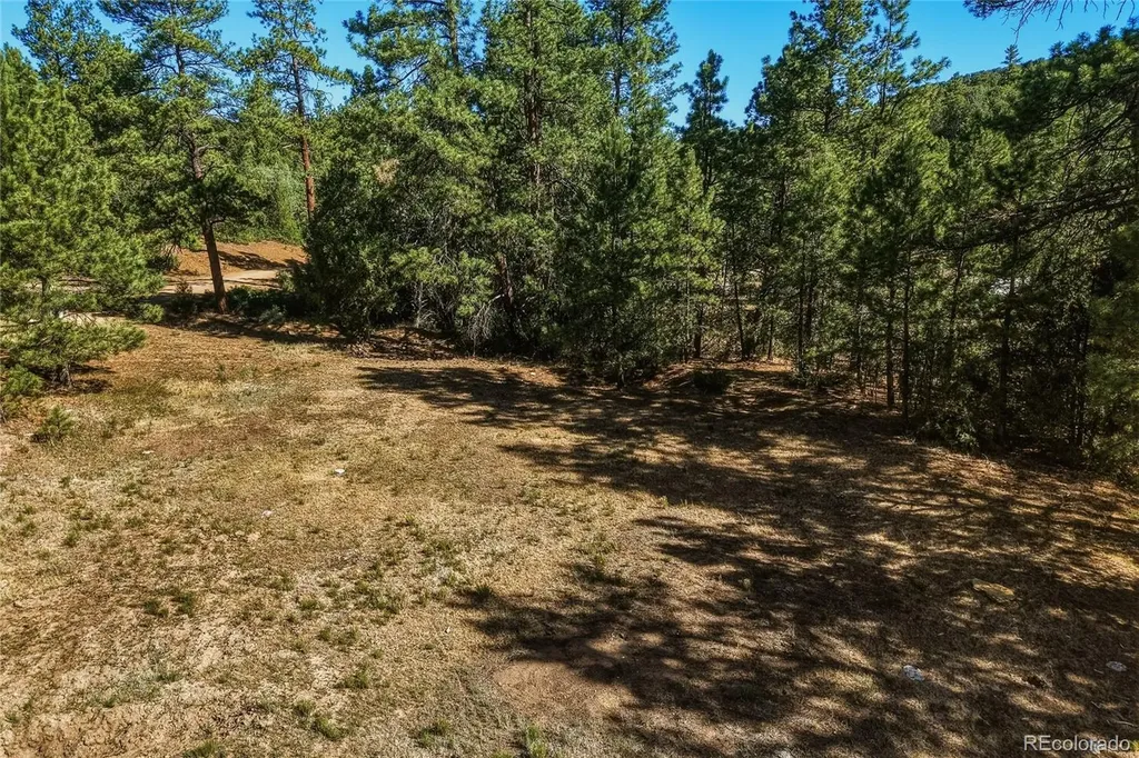 93 Blackhawk Ranch Walsenburg CO 81089