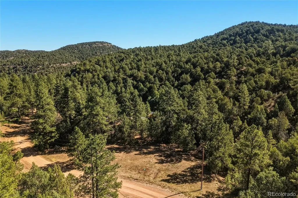 93 Blackhawk Ranch Walsenburg CO 81089