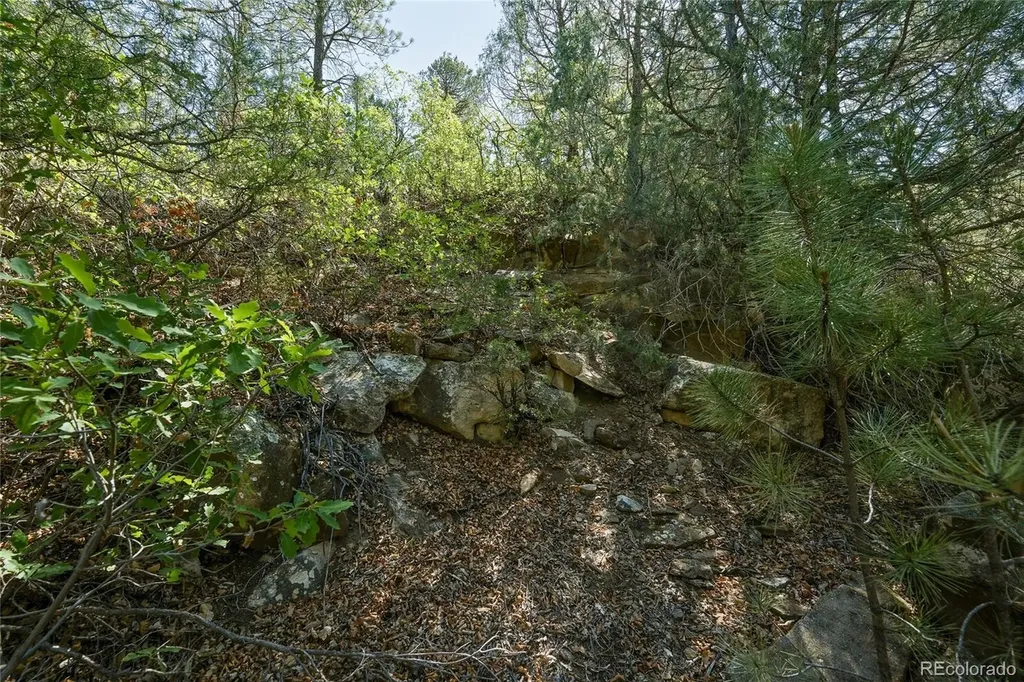 93 Blackhawk Ranch Walsenburg CO 81089