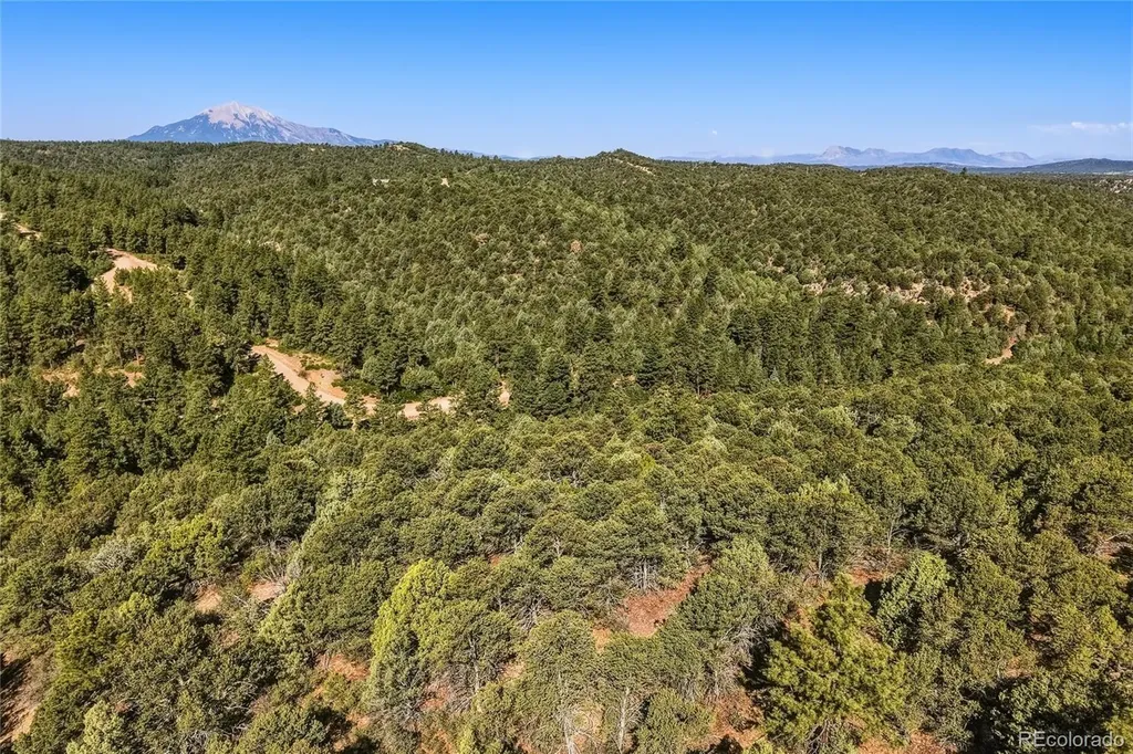 93 Blackhawk Ranch Walsenburg CO 81089