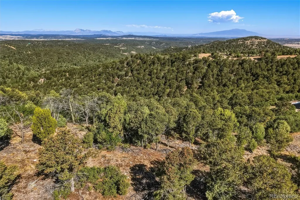 93 Blackhawk Ranch Walsenburg CO 81089