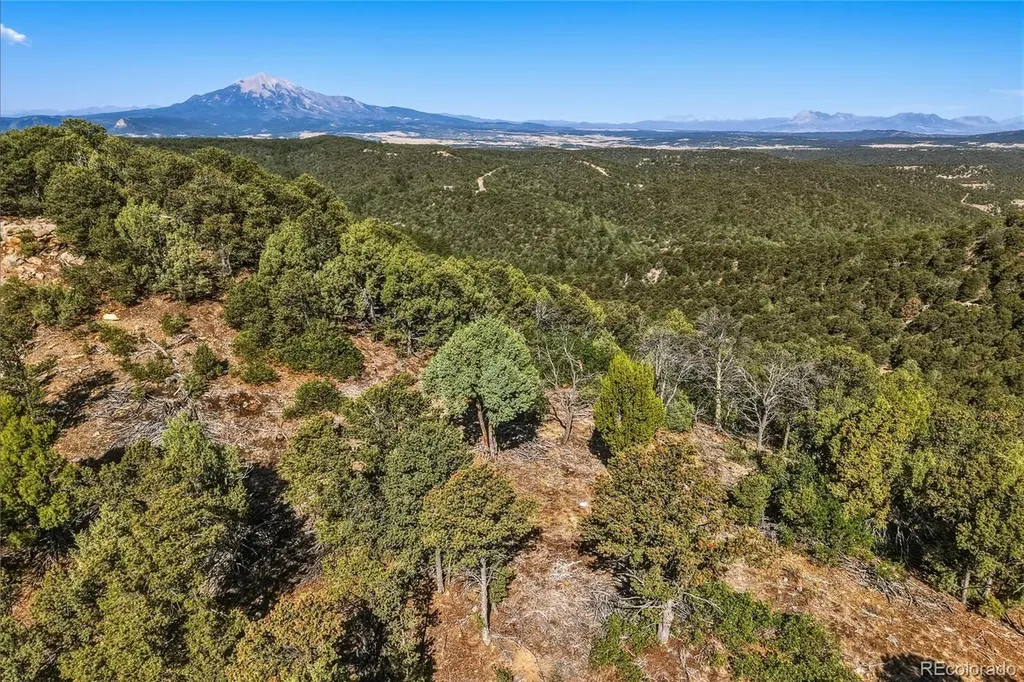93 Blackhawk Ranch Walsenburg CO 81089