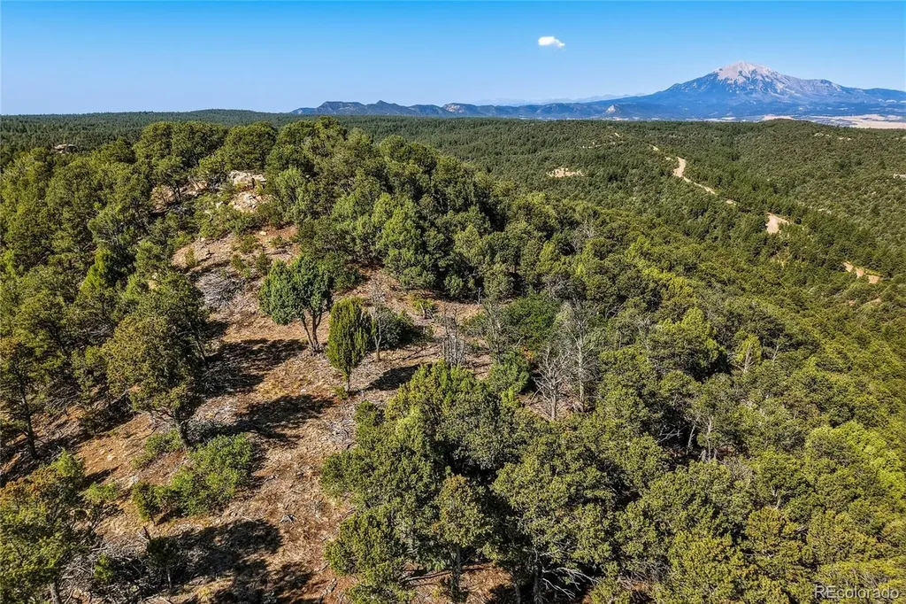 93 Blackhawk Ranch Walsenburg CO 81089