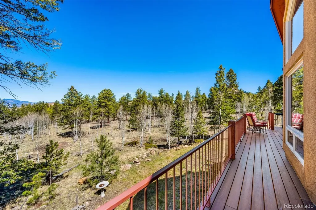 417 Beaver Creek Drive Lake George CO 80827