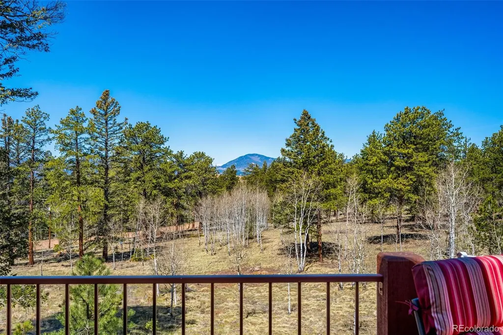 417 Beaver Creek Drive Lake George CO 80827