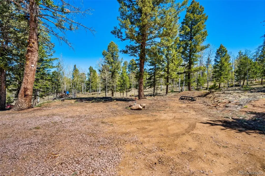 417 Beaver Creek Drive Lake George CO 80827