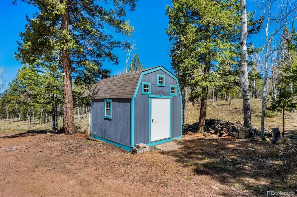 417 Beaver Creek Drive Lake George CO 80827