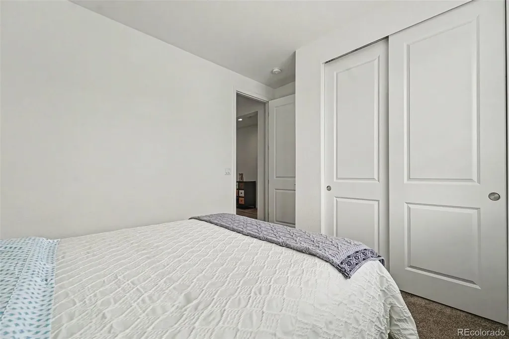 3708 White Rose Loop Castle Rock CO 80108