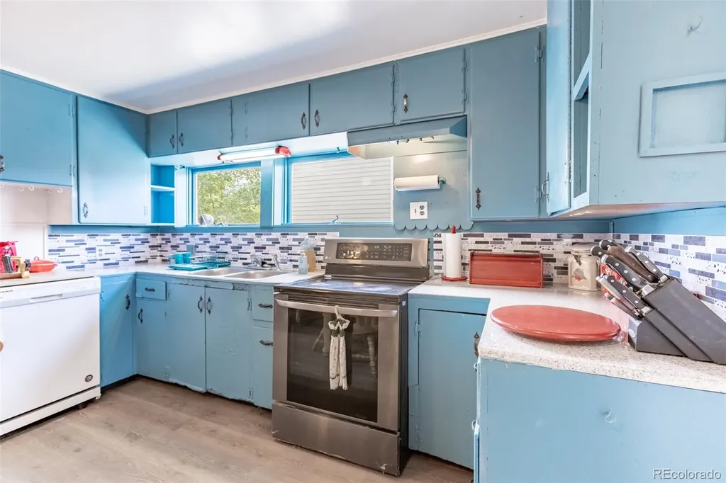 213 N Colorado Avenue Buena Vista CO 81211