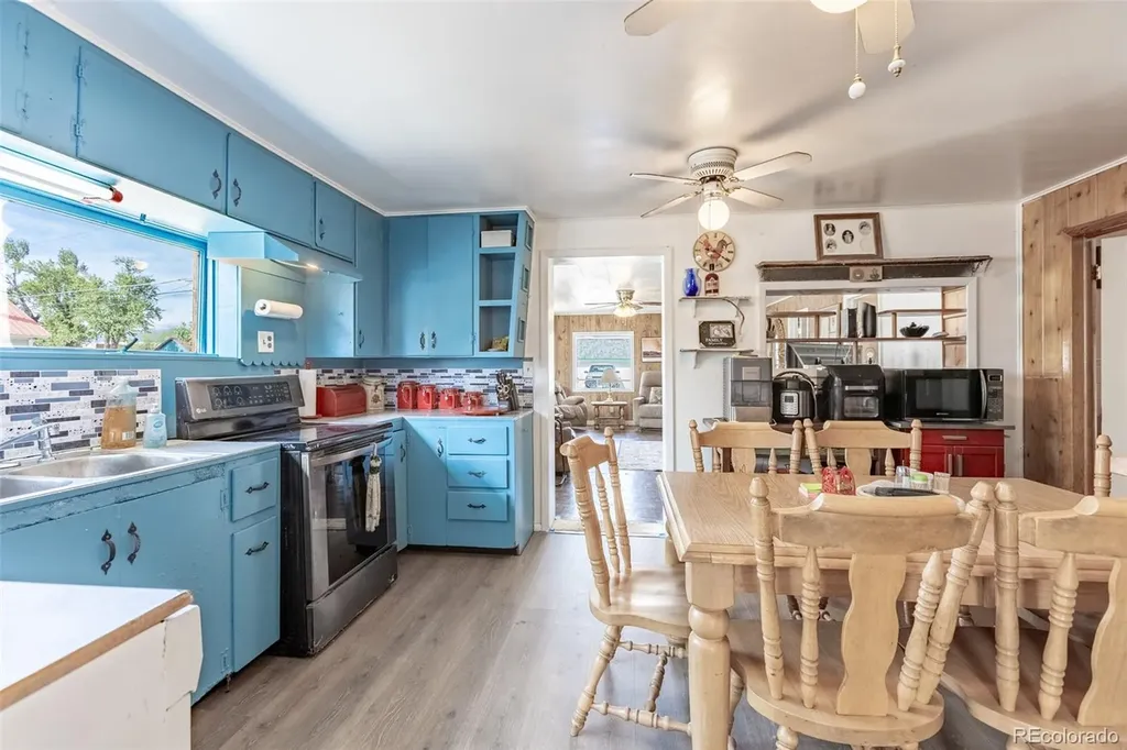 213 N Colorado Avenue Buena Vista CO 81211