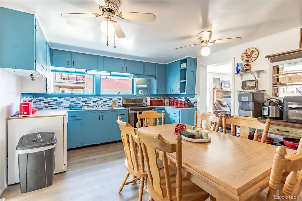 213 N Colorado Avenue Buena Vista CO 81211