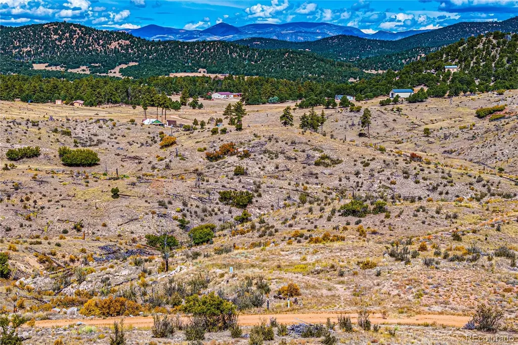 701 Shannon Trail Cotopaxi CO 81223