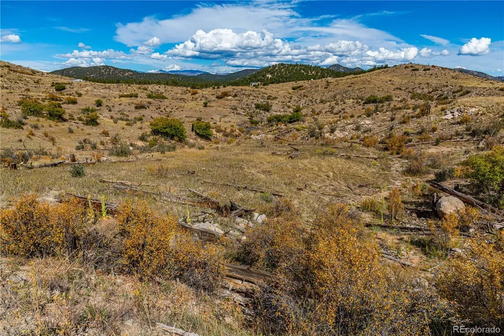 701 Shannon Trail Cotopaxi CO 81223