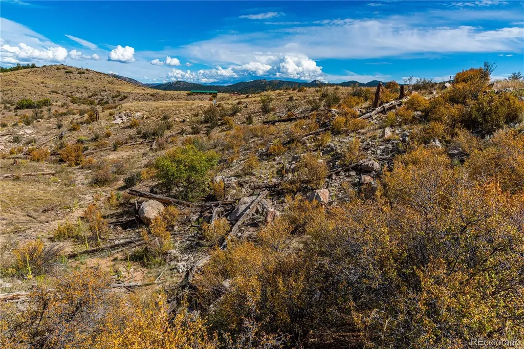 701 Shannon Trail Cotopaxi CO 81223