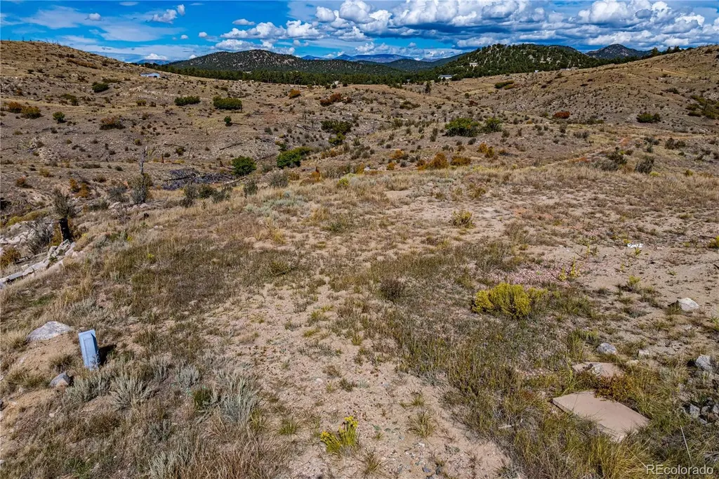 701 Shannon Trail Cotopaxi CO 81223