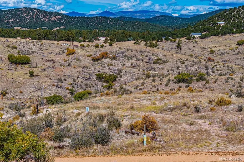 701 Shannon Trail Cotopaxi CO 81223