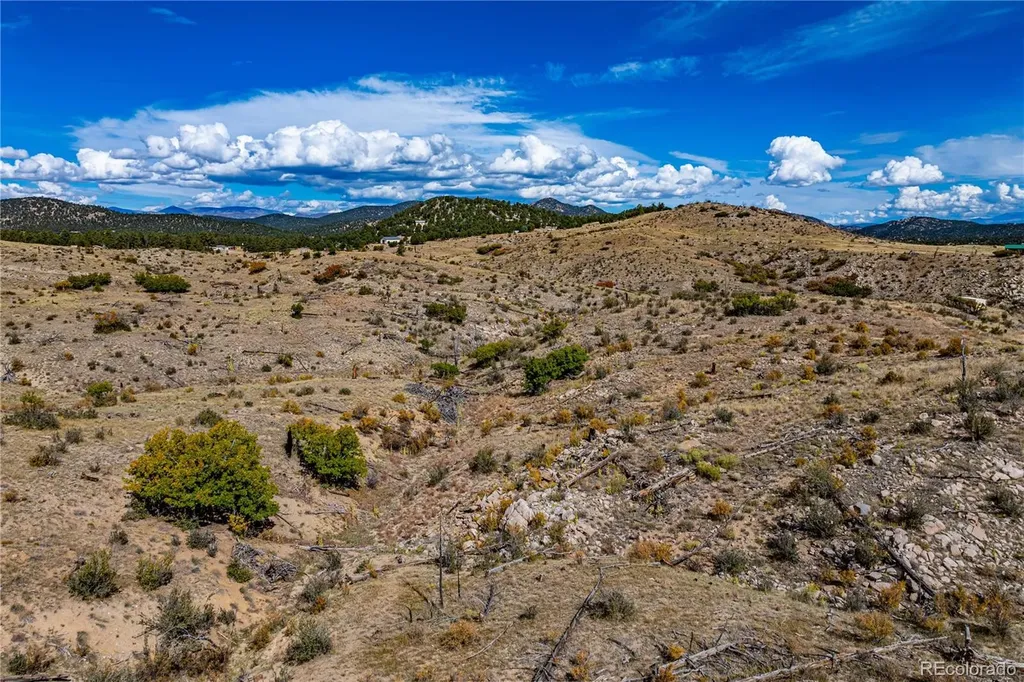701 Shannon Trail Cotopaxi CO 81223