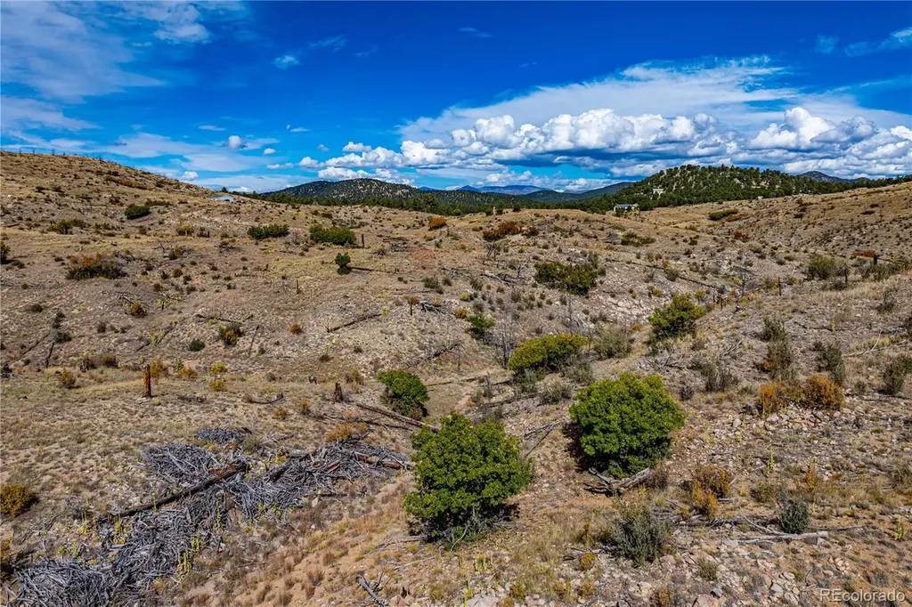 701 Shannon Trail Cotopaxi CO 81223