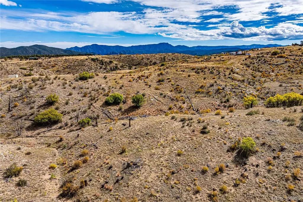 701 Shannon Trail Cotopaxi CO 81223