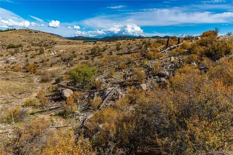 701 Shannon Trail Cotopaxi CO 81223