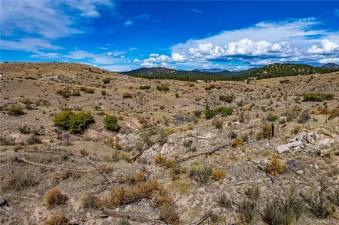 701 Shannon Trail Cotopaxi CO 81223
