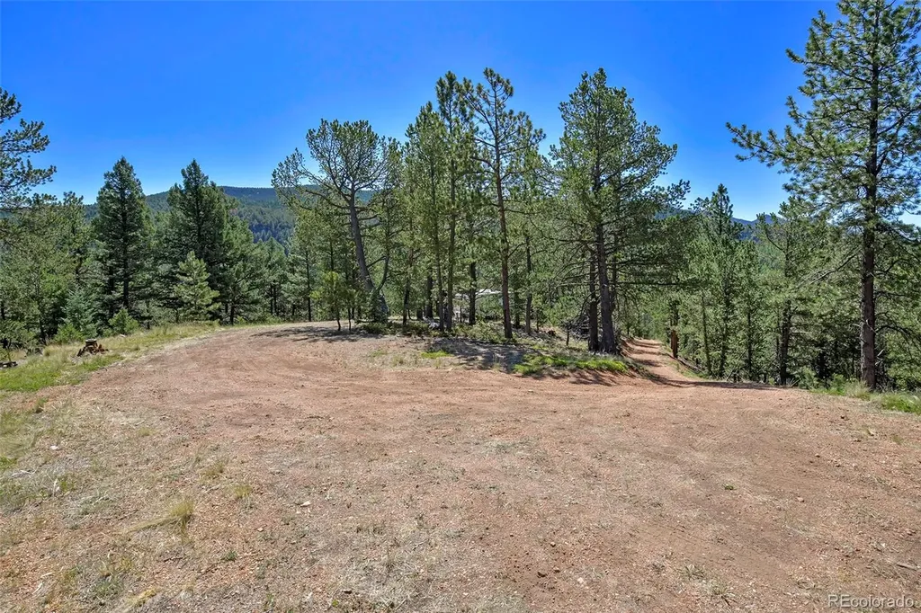 20083 S State Highway 67 Divide CO 80814