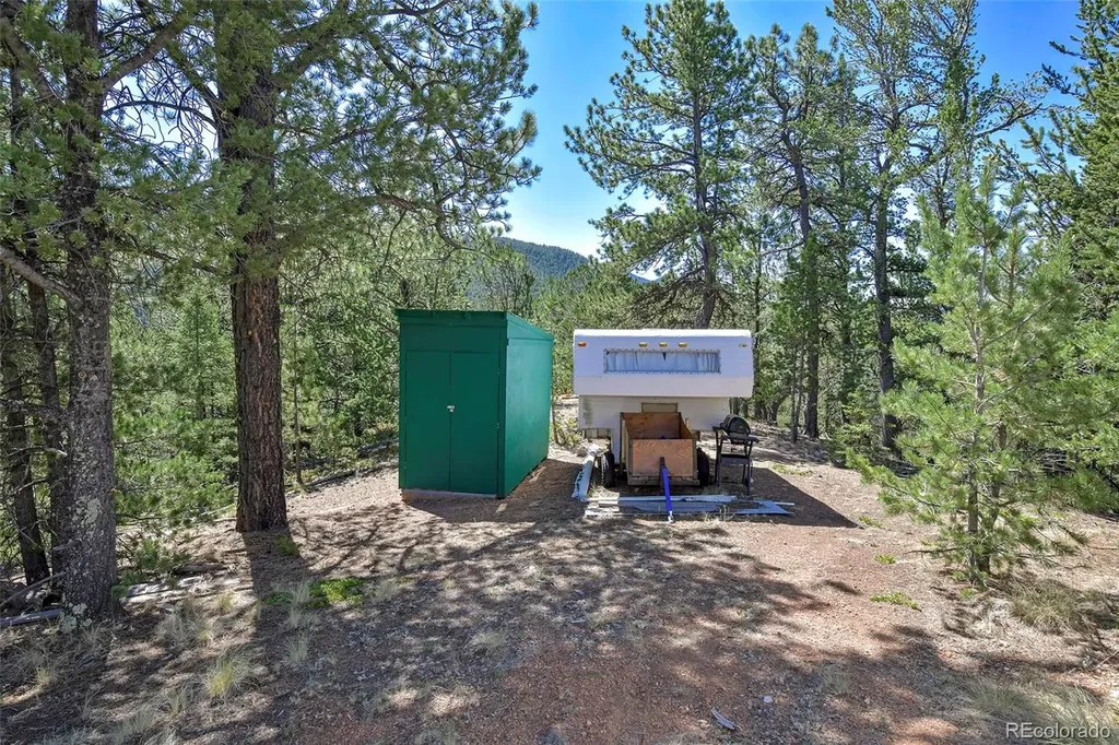 20083 S State Highway 67 Divide CO 80814