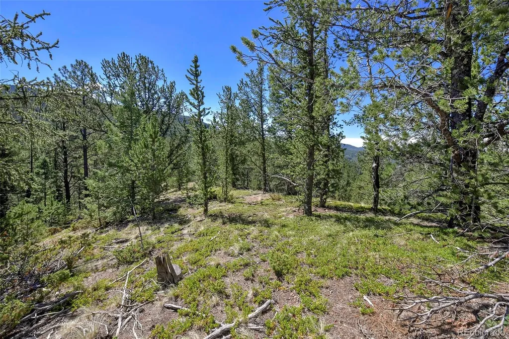 20083 S State Highway 67 Divide CO 80814
