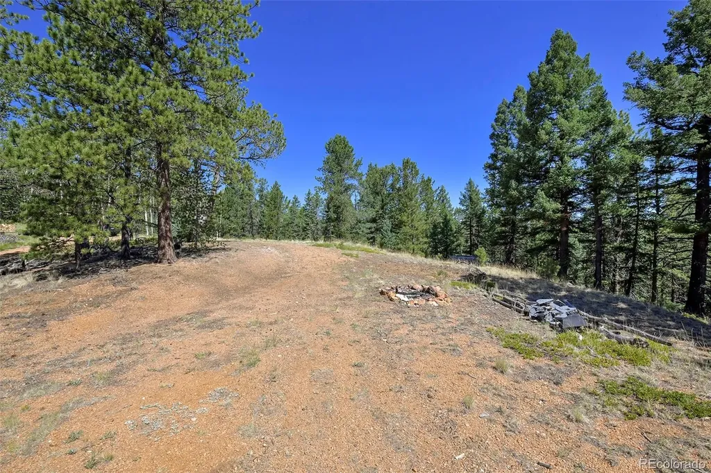 20083 S State Highway 67 Divide CO 80814