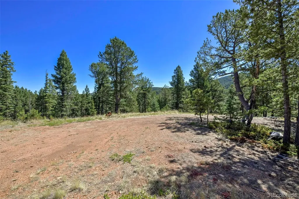20083 S State Highway 67 Divide CO 80814
