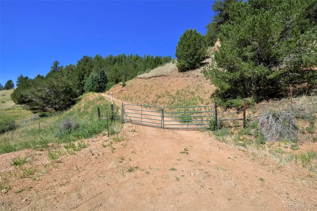 20083 S State Highway 67 Divide CO 80814
