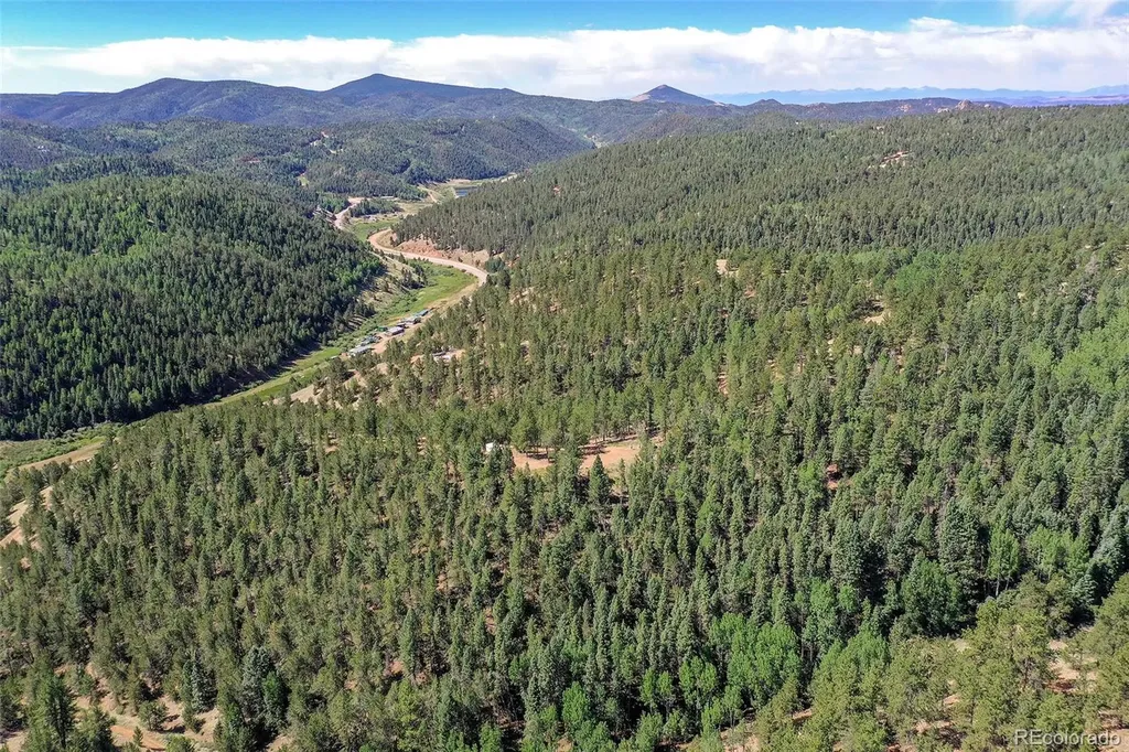 20083 S State Highway 67 Divide CO 80814