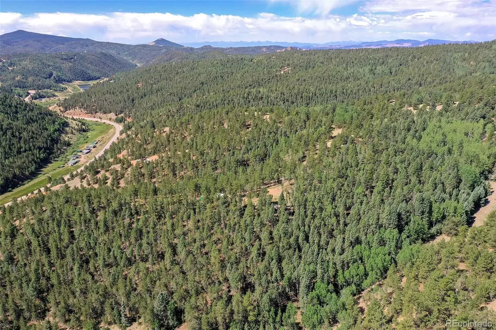 20083 S State Highway 67 Divide CO 80814
