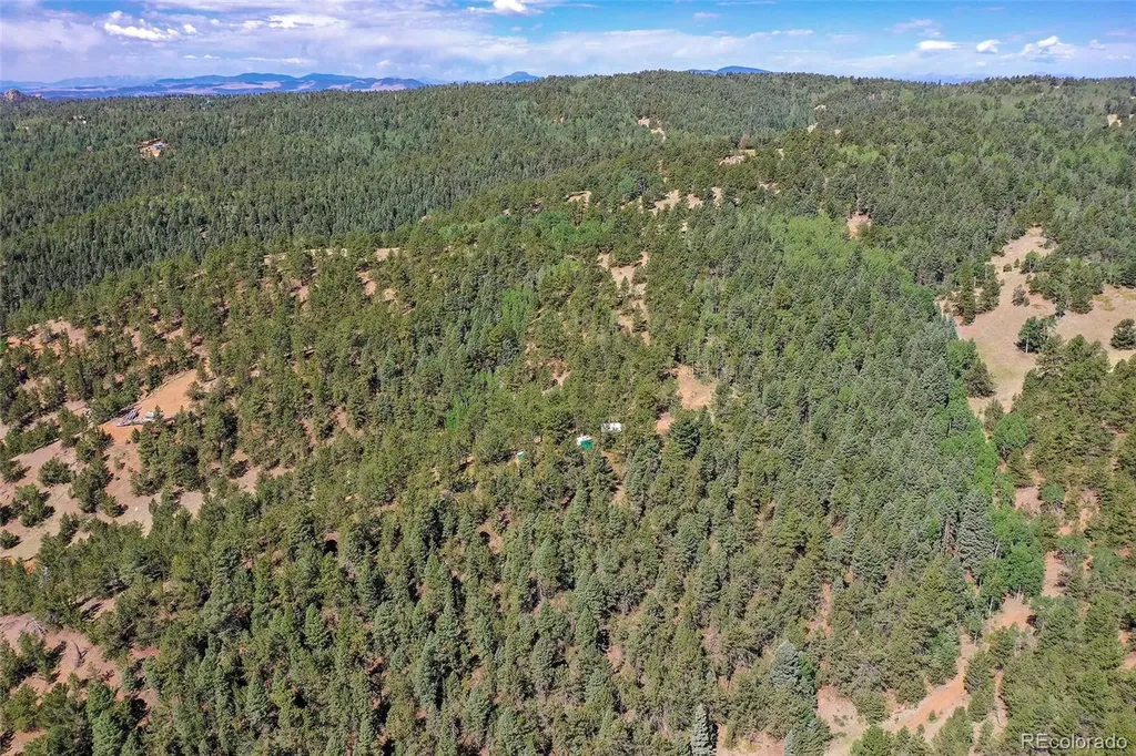 20083 S State Highway 67 Divide CO 80814