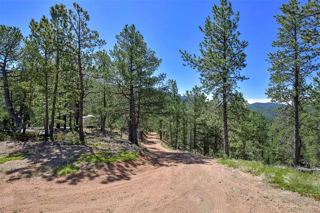 20083 S State Highway 67 Divide CO 80814