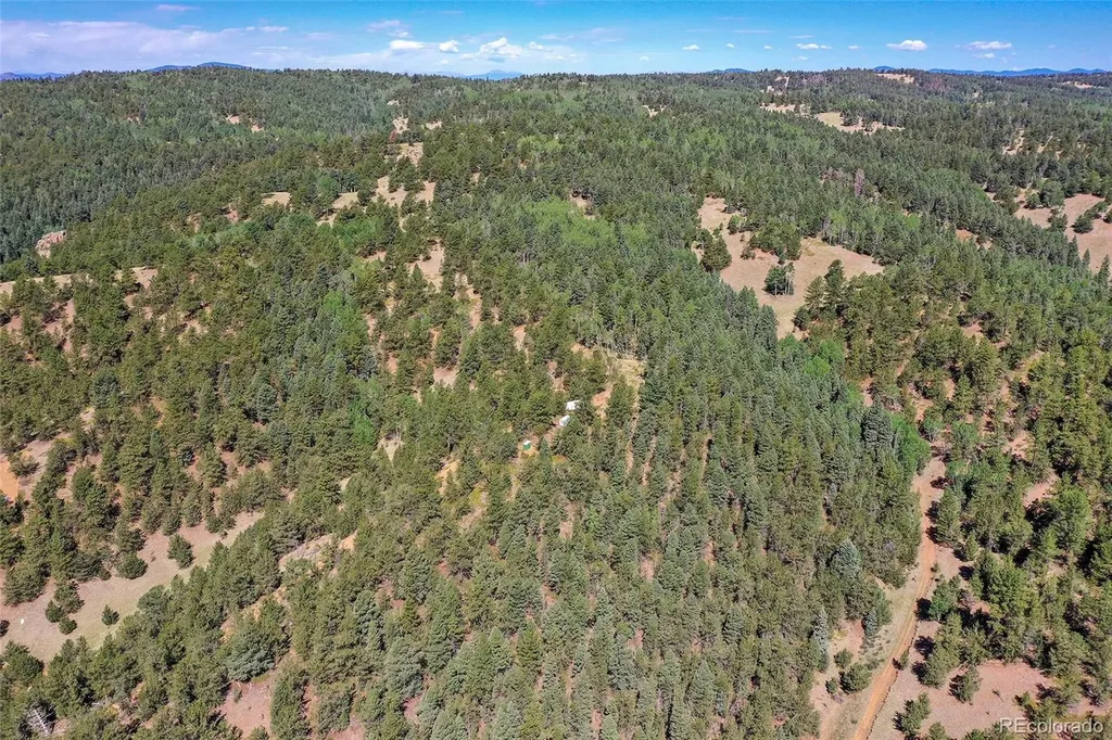 20083 S State Highway 67 Divide CO 80814